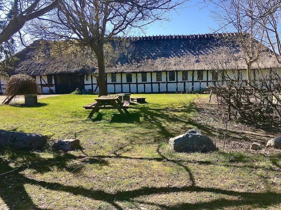 Enghavegard Nyborg Zewnętrze zdjęcie